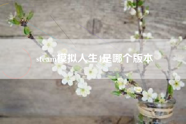 steam模拟人生4是哪个版本