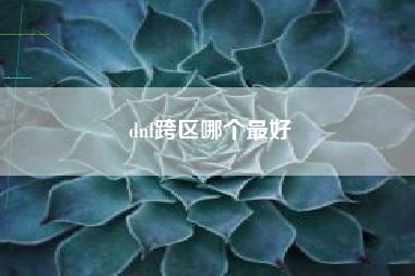 dnf跨区哪个最好