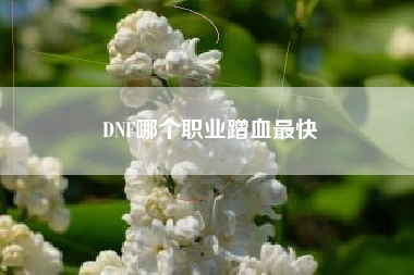 DNF哪个职业蹭血最快