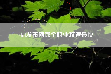 dnf发布网哪个职业攻速最快