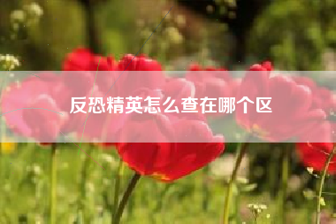 反恐精英怎么查在哪个区