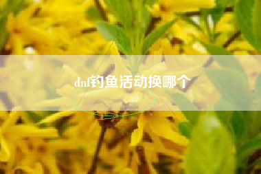 dnf钓鱼活动换哪个