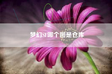 梦幻SF哪个图是仓库