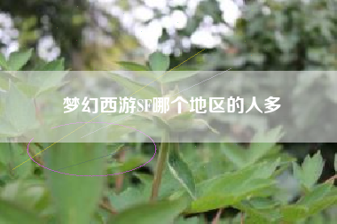 梦幻西游SF哪个地区的人多