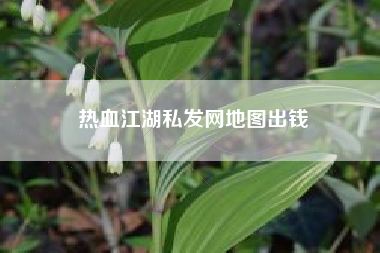 热血江湖私发网地图出钱