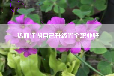 热血江湖自己升级哪个职业好