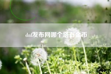 dnf发布网哪个塔有金币