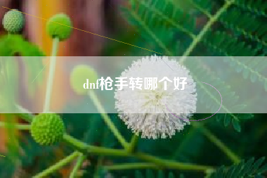 dnf枪手转哪个好