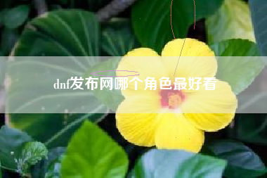 dnf发布网哪个角色最好看