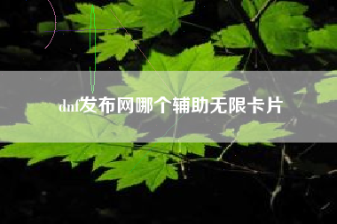 dnf发布网哪个辅助无限卡片