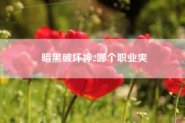 暗黑破坏神2哪个职业爽