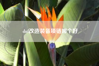 dnf改造装备项链哪个好