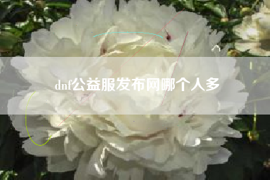 dnf公益服发布网哪个人多