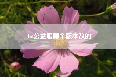 dnf公益服哪个版本改的