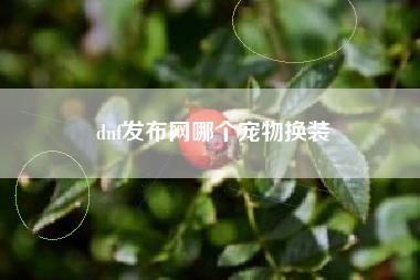 dnf发布网哪个宠物换装