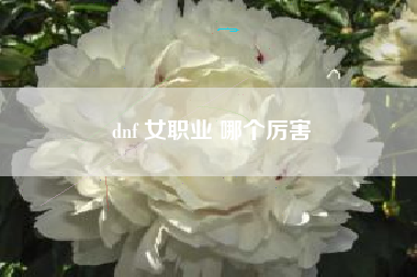 dnf 女职业 哪个厉害