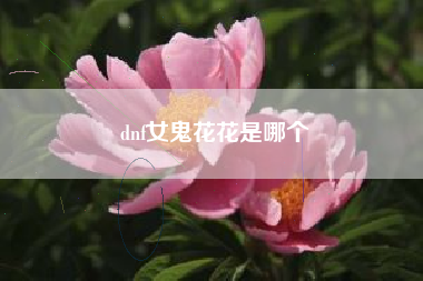 dnf女鬼花花是哪个