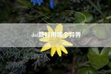 dnf散打用哪个异界