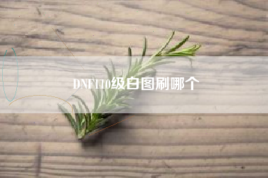 DNF110级白图刷哪个