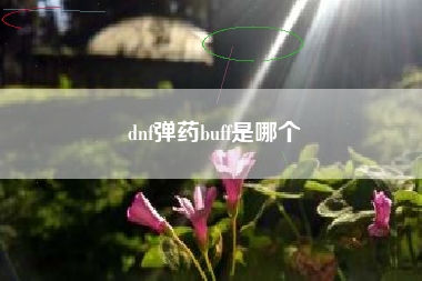 dnf弹药buff是哪个