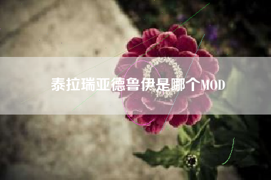 泰拉瑞亚德鲁伊是哪个MOD