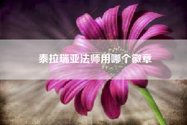 泰拉瑞亚法师用哪个徽章