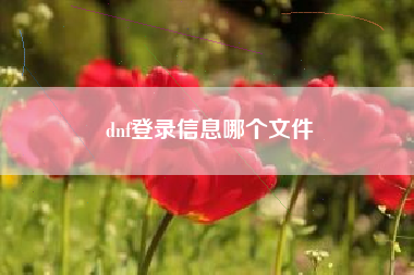 dnf登录信息哪个文件