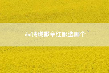 dnf玲珑徽章红眼选哪个