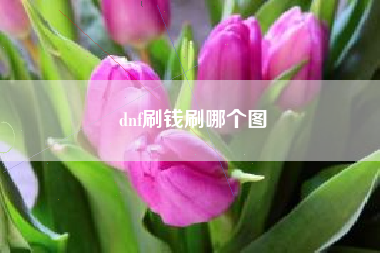 dnf刷钱刷哪个图