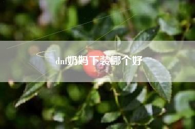 dnf奶妈下装哪个好