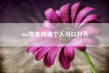 dnf发布网哪个人可以打孔