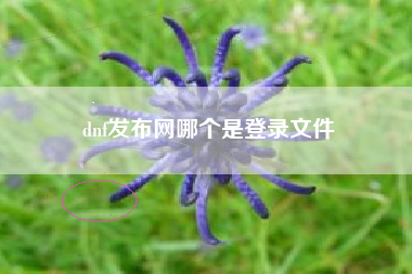 dnf发布网哪个是登录文件