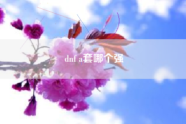 dnf a套哪个强