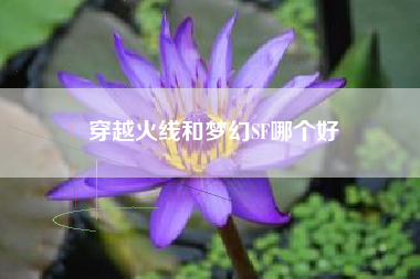 穿越火线和梦幻SF哪个好