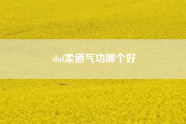 dnf柔道气功哪个好