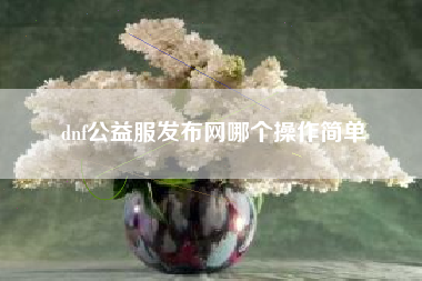 dnf公益服发布网哪个操作简单