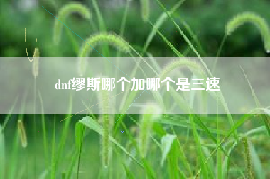 dnf缪斯哪个加哪个是三速