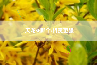 天龙SF哪个s将灵更强