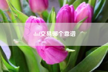 dnf交易哪个靠谱