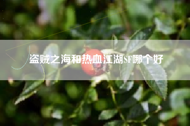 盗贼之海和热血江湖SF哪个好