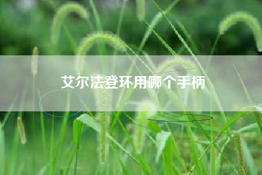 艾尔法登环用哪个手柄