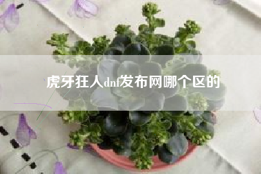 虎牙狂人dnf发布网哪个区的