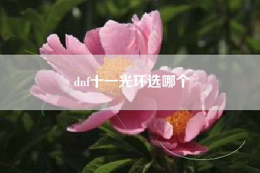 dnf十一光环选哪个