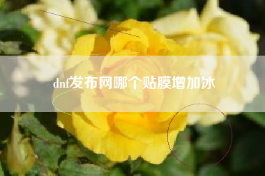 dnf发布网哪个贴膜增加冰