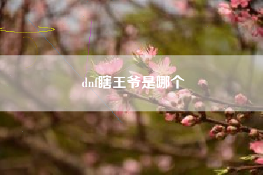 dnf瞎王爷是哪个