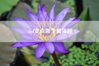 dnf支点哪个属强好