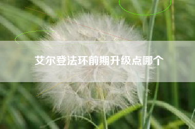 艾尔登法环前期升级点哪个