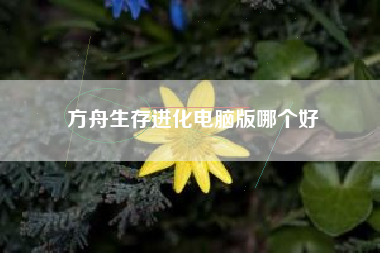 方舟生存进化电脑版哪个好