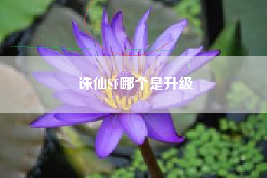 诛仙SF哪个是升级