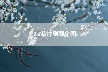 dnf芯片刷哪个图